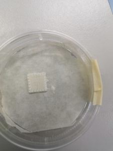 Impresora 3D <span class=keywords><strong>de</strong></span> Precisión para la Regeneración <span class=keywords><strong>de</strong></span> Tejidos con Compuestos <span class=keywords><strong>de</strong></span> PCL-Hidrogel - Product Image 3