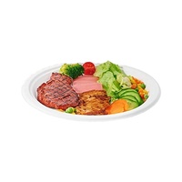 Assiettes en papier 100 % compostables de 10 pouces, très résistantes, lot de 500, jetables, biodégradables, écologiques, en bagasse de canne à sucre