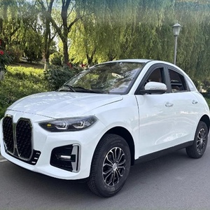 โรงงานขายส่งรถยนต์สำหรับผู้ใหญ่ รถ SUV ใหม่ ขับเคลื่อน 4 ล้อ 2000W 3000W 5000W รถมินิ 4 ล้อ โรงงานขายส่งรถบัสขนส่งผู้โดยสารไฟฟ้า - Product Image 5