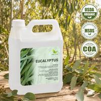 Huile essentielle de feuilles d'eucalyptus fraîches WY, distillée à la vapeur, pour l'aromathérapie, la fabrication de savon, la parfumerie domestique, vente en gros