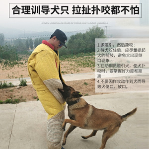 Tenue de combat pour chien Peace Of Mind Pets, résistante aux morsures, protection intégrale du corps, équipement d'entraînement pour l'agilité - Product Image 5
