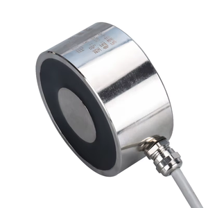 ליאנshenggaoke 220v/380v <span class=keywords><strong>dc</strong></span> מיני מעגלית אחריות 1.5 10 טון עומס טון קיבולת קורוזיה הגנה ידידותית לסביבה - Product Image 2