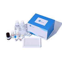 Laboratoire humain PADI4 Peptidyl Arginine Deiminase Type IV ELISA Kit