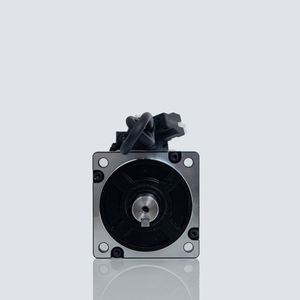 10A เซอร์โวมอเตอร์ NEMA52 2600W 220V พร้อมไดร์เวอร์เซอร์โว10N 2500รอบต่อนาที - Product Image 3