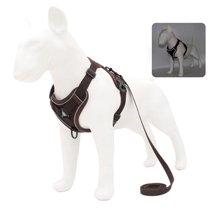 Profession Fabricant Laisse en nylon Ensemble <span class=keywords><strong>de</strong></span> harnais pour animaux <span class=keywords><strong>de</strong></span> compagnie pour <span class=keywords><strong>chien</strong></span> Harnais pour animaux <span class=keywords><strong>de</strong></span> compagnie durables réfléchissants - Product Image 3
