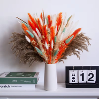 Offre Spéciale – Bouquet de Fleurs Séchées Style Bohème de Haute Qualité : Herbe de Lapin, Gypsophile et Petite Herbe de la Pampa pour Noël