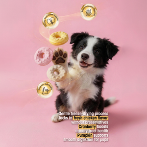 Fornitore OEM certificato FDA/CFIA: snack per cani freeze-dried ad alta proteina, sapori vari e personalizzati per cani. - Product Image 2