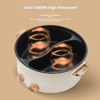 Marmite électrique multifonction 5L à double saveur, antiadhésive, 2 niveaux de puissance réglables 800W-1600W, pour usage domestique