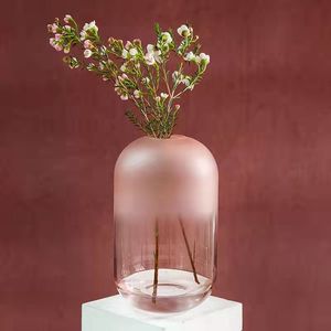 <span class=keywords><strong>Vaso</strong></span> per <span class=keywords><strong>Fiori</strong></span> <span class=keywords><strong>in</strong></span> <span class=keywords><strong>Vetro</strong></span> Minimalista <span class=keywords><strong>di</strong></span> Tendenza Ispirato allo Stile Nordico per Decorazione e Esposizione nel Soggiorno - Product Image 2