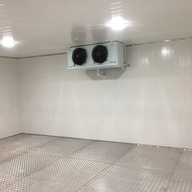 Congelador de habitación fría, compresores de unidad de refrigeración de 220V, 100mm, 150mm, espesor de Panel, sala de almacenamiento en frío, pollo congelado