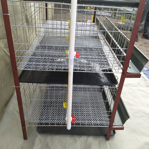 2020 Venta caliente automático sistema <span class=keywords><strong>de</strong></span> agua potable aves <span class=keywords><strong>de</strong></span> <span class=keywords><strong>corral</strong></span> <span class=keywords><strong>de</strong></span> engorde jaula <span class=keywords><strong>de</strong></span> pollo - Product Image 4