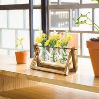 Stations de propagation de plantes en verre avec support en bois, supports pour plantes aériennes, vase en verre pour plantes d'intérieur