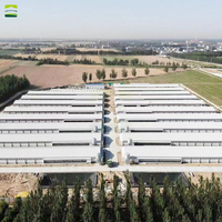 Bâtiment en structure acier préfabriqué galvanisé GREATFARM pour élevage de volailles (poulets de chair, poules pondeuses, canards)