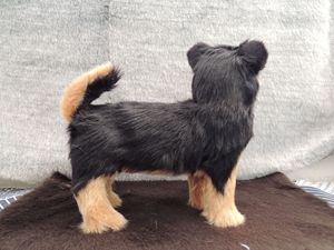 Perro eléctrico realista, modelo <span class=keywords><strong>Yorkshire</strong></span>, cachorros de <span class=keywords><strong>Yorkshire</strong></span>, muñeco de Animal de simulación, envío directo - Product Image 2