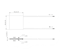 Module thermoélectrique Peltier 40x40mm TEC1-12706 Delta T 62 ℃   Contrôle de température TEC personnalisable