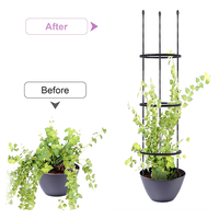 Offre spéciale, haute qualité, couleur personnalisée combinée fleur de Rose obélisque noir robuste rond métal tour de plante jardin treillis/