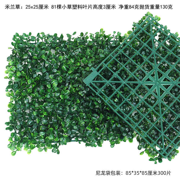 หญ้ามิลาน 2525