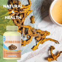 OEM Berberine HCl 98% Haute Concentration 500mg Capsules Antioxydants Naturels pour le Soutien du Métabolisme du Glucose