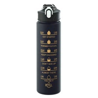 Logo personnalisé 750ml noir sport bouteille d'eau dégradé coloré portable en plastique paille bouteille d'eau