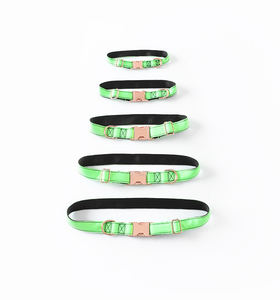 Collares de nailon impermeables para mascotas, accesorios de oro rosa, hebilla de Metal personalizada, conjunto de correa grande, <span class=keywords><strong>Collar</strong></span> de lujo para perros, venta al por mayor - Product Image 3