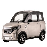 Véhicules électriques, voitures de mobilité, mini-voitures pour personnes âgées, 4 roues, 2 places, faciles à conduire sans permis de conduire