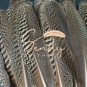 Plumas de pavo real naturales 25-30-35cm, plumas de alas moteadas de pavo real para tocado de baile, tocado, mochila, accesorio de disfraz - Product Image 2