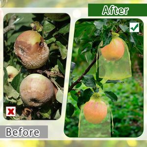 ถุงตาข่ายคลุมผลไม้สีเขียวขนาด 6 x 8 นิ้ว ยี่ห้อ Huamaohengchun สำหรับต้นไม้ผลไม้ ผ้าตาข่ายคลุมผลไม้แบบมีเชือกผูก เหมาะสำหรับต้นไม้ผลไม้ ผัก และสวน - Product Image 2