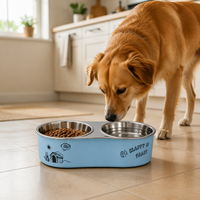 Bol double moderne en acier inoxydable 304 pour animaux de compagnie, design séparé pour nourriture et eau, pour chats et chiens