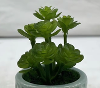 Mini-plante artificielle d'intérieur : Cactus et Aloès en pot, haute simulation, écologique, pour décorations de mariage, Thanksgiving, Nouvel An - En stock