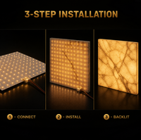 Feuille LED flexible haute luminosité 30W 100,67LM/W CRI90 SMD2835, découpée sur mesure en usine, pour rétroéclairage de marbre, feuilles LED rétroéclairées lumineuses ETL