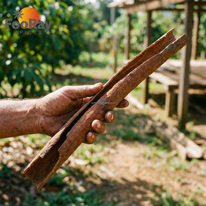 Kayu Manis Kering Cassia Bark Label Pribadi OEM 250g Kemasan Kantong Kertas Kraft Kustom Rempah Utuh Premium Pasokan Pabrik ODM Cepat - Product Image 3