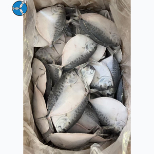 SANFENG SEAFOOD Ikan Bulan Beku Berkualitas Restoran di Asia Tenggara untuk Koki Profesional