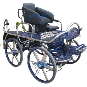Tourist Marathon <b>Coach</b> Horse Cart Horse Carriage Horse Saddle Cart - Product Image 1