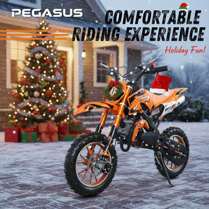 Minimoto de Gasolina Pegasus de 49cc y 2 Tiempos, Minimoto de Cross para Niños y Adolescentes - Product Image 3