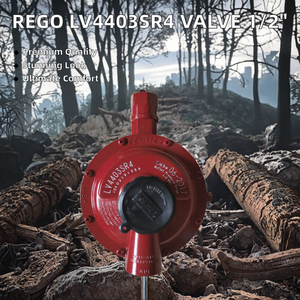 REGO LV4403SR4 57 kg/h régulateur de pression GPL haute pression premier étage 1/2 \ "vanne de réduction de pression de tuyau de cylindre pour gaz - Product Image 2