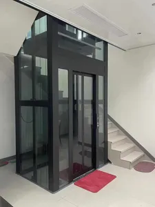 Hidrolik cacat 2-4 lantai dalam ruang luar ruangan listrik perumahan murah penumpang Lift Lift kecil dumbiter Lift rumah