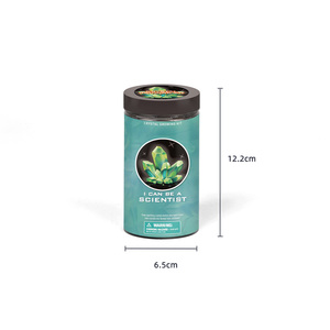 Giocattoli per bambini con patate e pianoforti posso essere scienziato Set di stelo da te kit scientifici per giocattoli educativi per bambini - Product Image 5