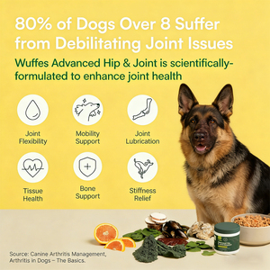 שריר חלבון גבוה לזכות לועסים רכים עבור כלבים מגזע גדול כלב טבעי תוספי מזון עבור ציד גזעים נורוויג 'יאן - Product Image 4