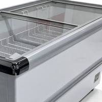 Congélateur coffre horizontal commercial à double porte grande capacité pour la conservation de la viande à usage domestique et en supermarché