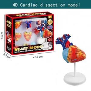Modelo de Órganos Humanos Educativo para Niños XR, Juguete de Ciencia y Tecnología, Ensamblaje DIY, Cognición Temprana, STEAM, Juguete Médico Interno - Product Image 2