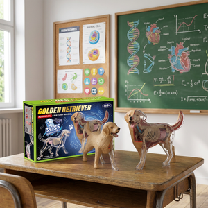 Kit Scientifique Interactif TENGXIN STEM, Modèle Anatomique d'Animaux 3D, Certifié EN71, Cadeau d'Anniversaire DIY pour Enfants, <span class=keywords><strong>Science</strong></span> et Ingénierie - Product Image 1