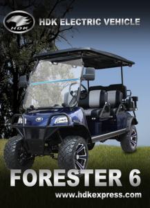 Mini voitures de tourisme 6 places 48V prix véhicule enfants voiture électrique HDK EVOLUTION voiturettes de golf électriques - Product Image 3