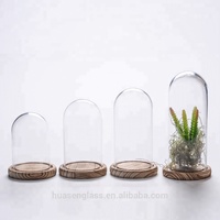 Cloche en verre dôme et base, jardinière de terrarium transparente de 5.9x7 pouces pour plante carnivore, petit cactus, succulente, décor de table