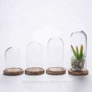 Cúpula y base de vidrio, maceta de terrario transparente de 5,9x7 pulgadas para plantas carnívoras, cactus pequeños, suculentas, Decoración de mesa - Product Image 6