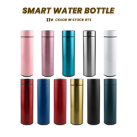 Bouteille Isotherme Intelligente en Acier Inoxydable de 500 ml avec Affichage de Température pour Voyage