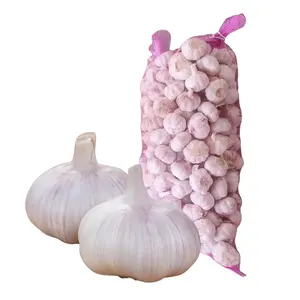 Garlic price per ton in sacks/loose garlic