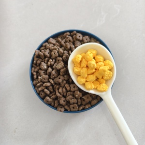 Cibo Secco per Gatti con 28 Nutrienti, Formula Senza Cereali per Tutte le Fasi della Vita, Gusto Personalizzato, Alimenti per Animali Domestici all'Ingrosso - Product Image 3