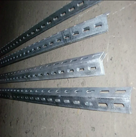Acier perforé à angle égal de 40*40 mm pour l'assemblage sur site de rayonnages d'entrepôt de taille moyenne et petite