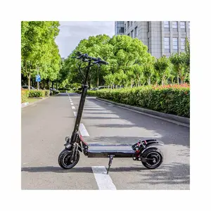 Commercio all'ingrosso di alta qualità vittoria Off Road doppio tron Smart Scooter 60V 2000W passo elettrico per gli adulti