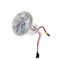 Fabricant Caméléon Cabochon 60mm AC24V Automatique Rgb Fairground Light Amusement Ferris Wheels Cabochon Light